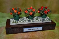 /album/minipeanas1/peanascuadros-005-jpg1/